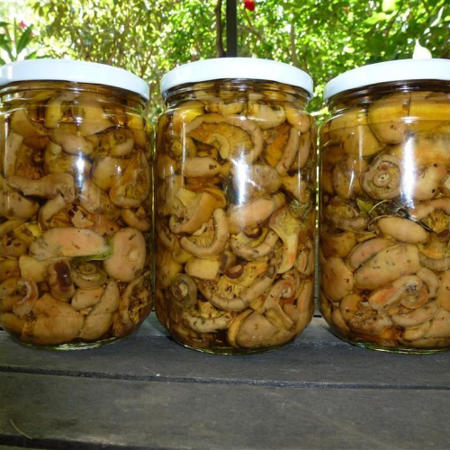 pickles de champignons 400gr